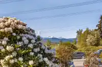 1 34332 MACLURE ROAD - thumbnail 37