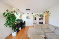 50 E 37TH AVENUE - thumbnail 5