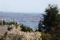 1109 HILLSIDE ROAD - thumbnail 10