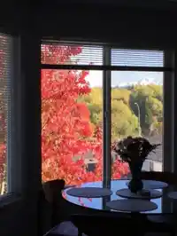 404 20443 53 AVENUE - thumbnail 12