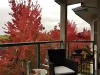 404 20443 53 AVENUE - thumbnail 29