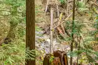 46A DEERWOOD PLACE - thumbnail 36