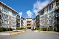 C404 20211 66 AVENUE - thumbnail 22