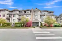 203 8142 120A STREET - thumbnail 1