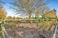 304 20088 55A AVENUE - thumbnail 21
