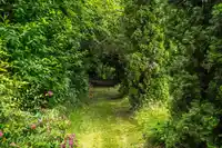 7538 240 STREET - thumbnail 35