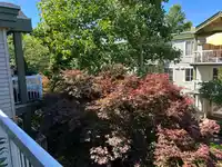 304 10665 139 STREET - thumbnail 16