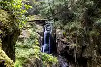 4615 WOODGREEN DRIVE - thumbnail 36
