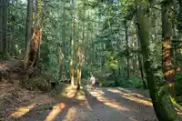 4615 WOODGREEN DRIVE - thumbnail 38