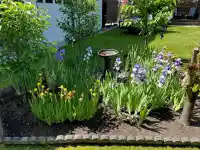 13251 82B AVENUE - thumbnail 31