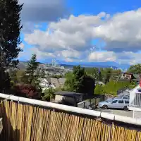 10369 125 STREET - thumbnail 14