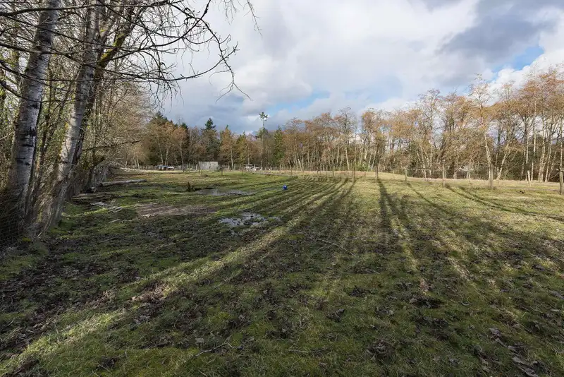 19607 80 AVENUE - photo 3 of 16