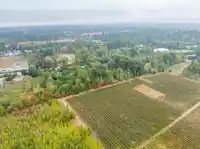 24183 FRASER HIGHWAY - thumbnail 17