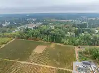 24183 FRASER HIGHWAY - thumbnail 8