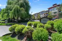 217 2233 MCKENZIE ROAD - thumbnail 28