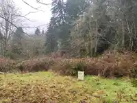 23180 PORLIER PASS ROAD - thumbnail 15