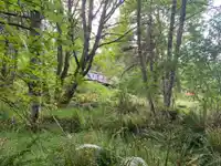 23180 PORLIER PASS ROAD - thumbnail 16