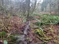 23180 PORLIER PASS ROAD - thumbnail 17