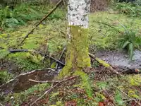 23180 PORLIER PASS ROAD - thumbnail 18