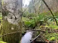 23180 PORLIER PASS ROAD - thumbnail 19