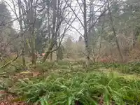 23180 PORLIER PASS ROAD - thumbnail 20