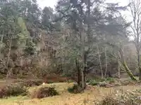 23180 PORLIER PASS ROAD - thumbnail 21