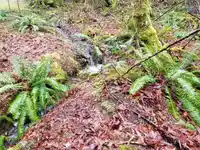 23180 PORLIER PASS ROAD - thumbnail 24