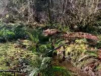 23180 PORLIER PASS ROAD - thumbnail 26