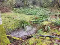 23180 PORLIER PASS ROAD - thumbnail 29