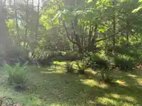 23180 PORLIER PASS ROAD - thumbnail 4