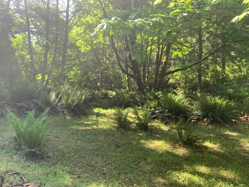 23180 PORLIER PASS ROAD - photo 4 of 38