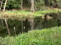 23180 PORLIER PASS ROAD - thumbnail 35