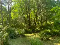 23180 PORLIER PASS ROAD - thumbnail 5