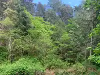 23180 PORLIER PASS ROAD - thumbnail 8
