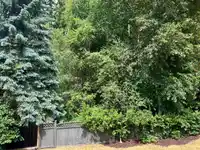 14915 25A AVENUE - thumbnail 34