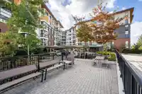 315 11641 227 STREET - thumbnail 32