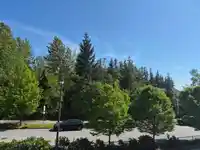 109 FOREST PARK WAY - thumbnail 5
