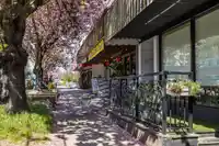 3918 CAROLINA STREET - thumbnail 36