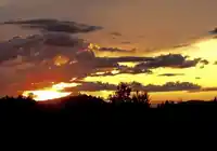 22856 137 AVENUE - thumbnail 29