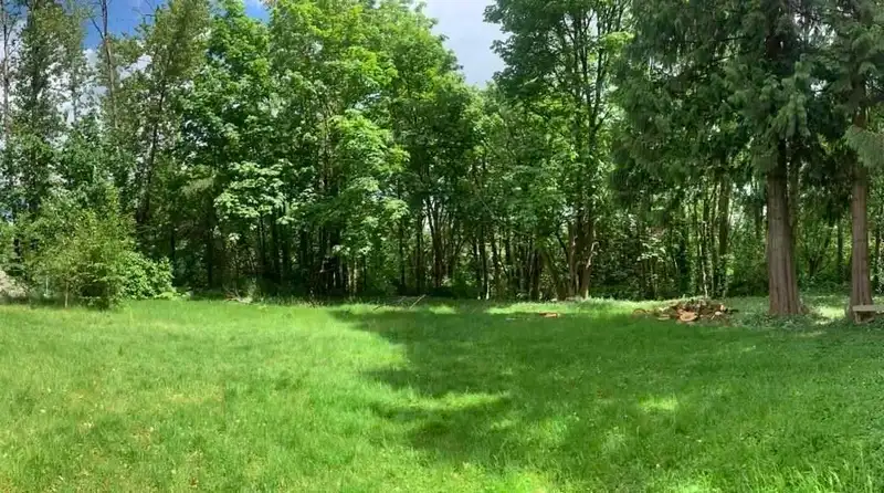 10610 SALISBURY DRIVE - photo 3 of 4