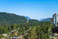 1907 9868 CAMERON STREET - thumbnail 1