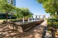 1907 9868 CAMERON STREET - thumbnail 27