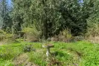 11069 BROOKS ROAD - thumbnail 34