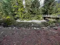 9 71860 SUMALLO ROAD - thumbnail 30