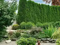 6280 BUCHANAN STREET - thumbnail 2