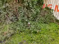 1613 208 STREET - thumbnail 18