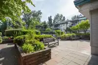 221 19528 FRASER HIGHWAY - thumbnail 16