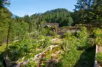 207 726A BELTERRA ROAD - thumbnail 18