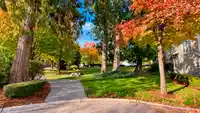 87 20460 66 AVENUE - thumbnail 32