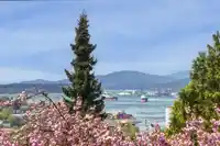 370 N KOOTENAY STREET - thumbnail 20